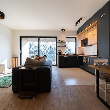 Mirador Bohemian Apt With Views Over Old Town And Tampa Mountain, Near Poiana ブラショフ エクステリア 写真
