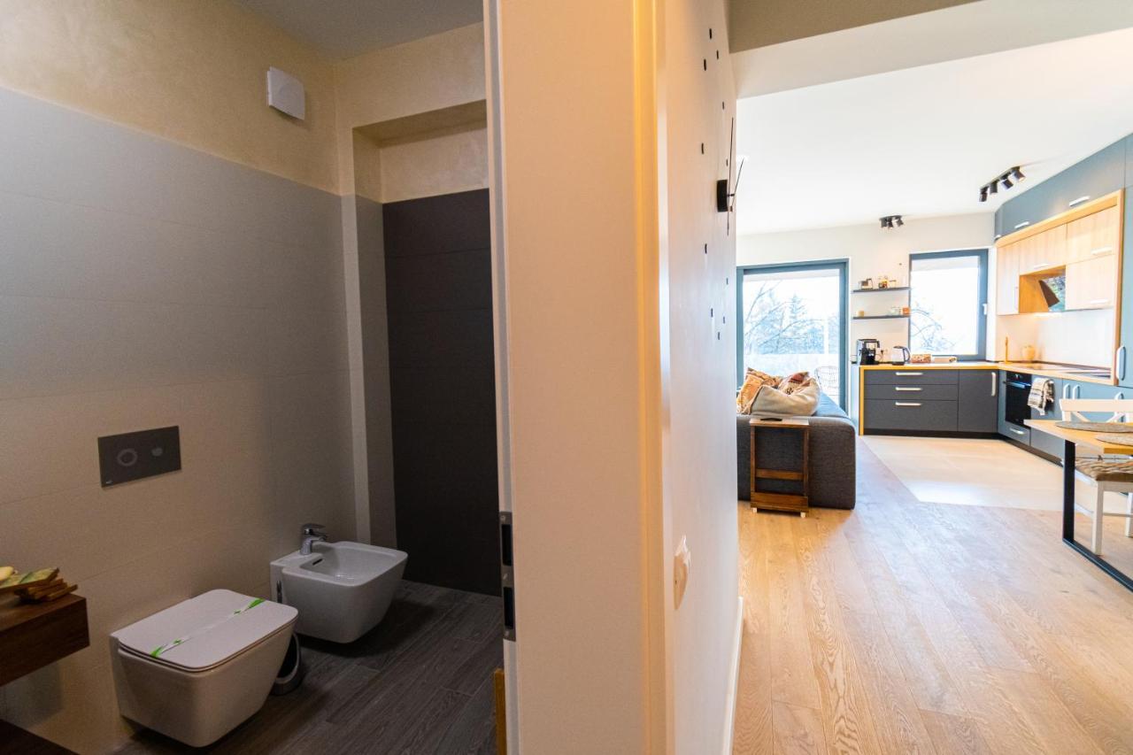 Mirador Bohemian Apt With Views Over Old Town And Tampa Mountain, Near Poiana ブラショフ エクステリア 写真